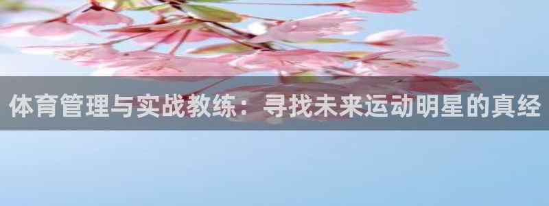 必一体育官方网站入口