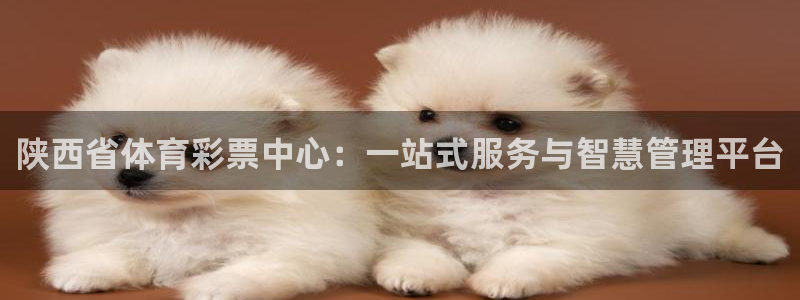 必一体育登录入口AP