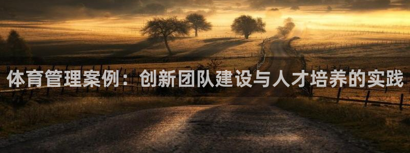 必一体育电子app：
