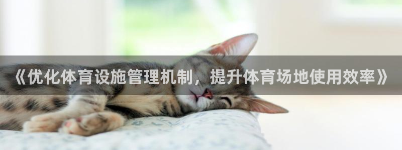 必一体育bsport