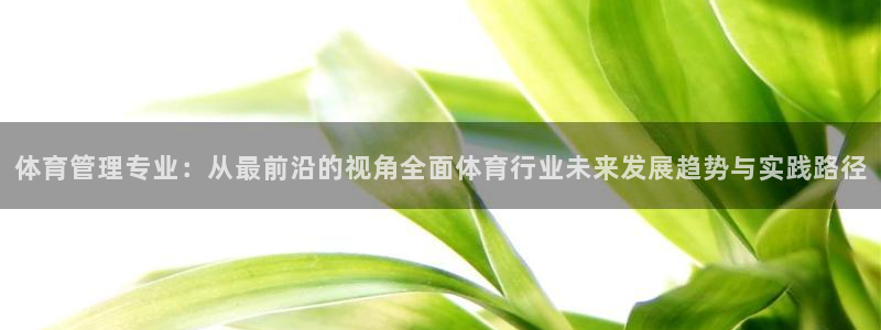 b体育必一运动网页版