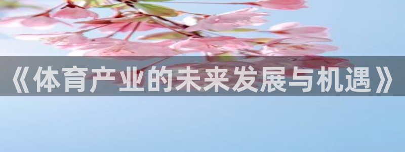 必一体育官方入口：《