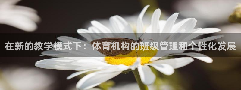 必一体育旧版：在新的