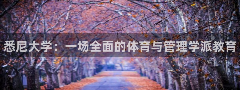 必一体育是哪里的台子