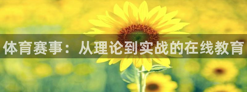 必一体育app官方网