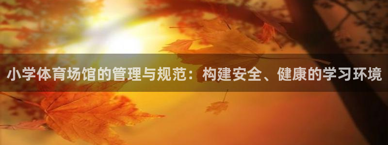 必一体育app下载装