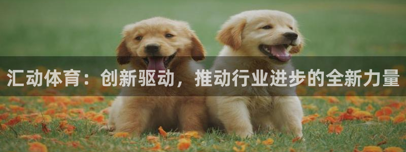 必一体育下载移动版：