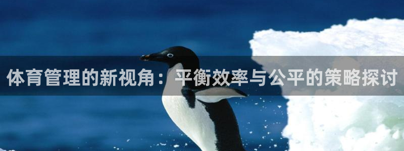 必一体育在哪下：体育