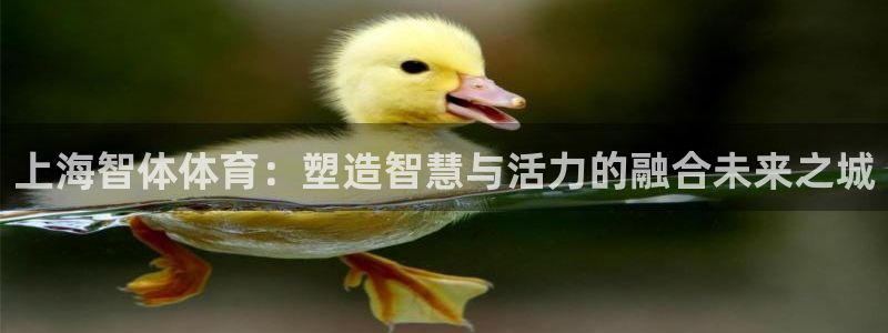 必一体育在线登录：上