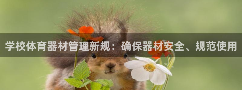 必一体育全站在线登录入口：学校体育器材管理新规：确保器材安全