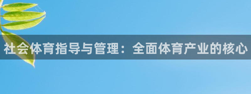必一体育sport官方网站