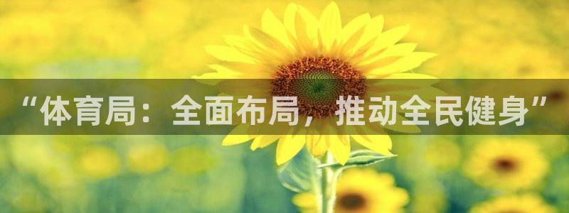 必一体育是哪里的台子