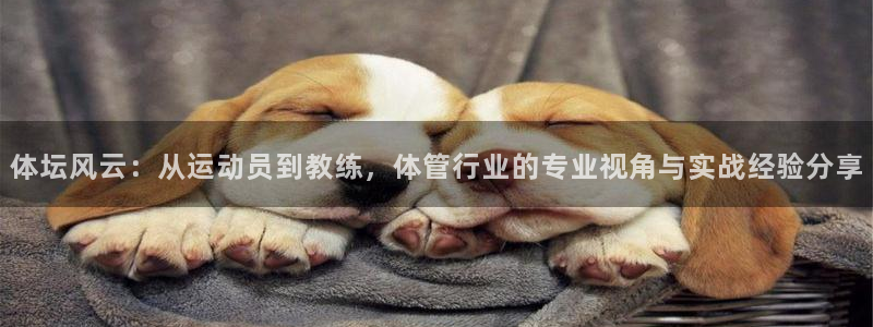 必一体育平台：体坛风