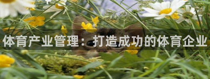 必一体育在线官网：体