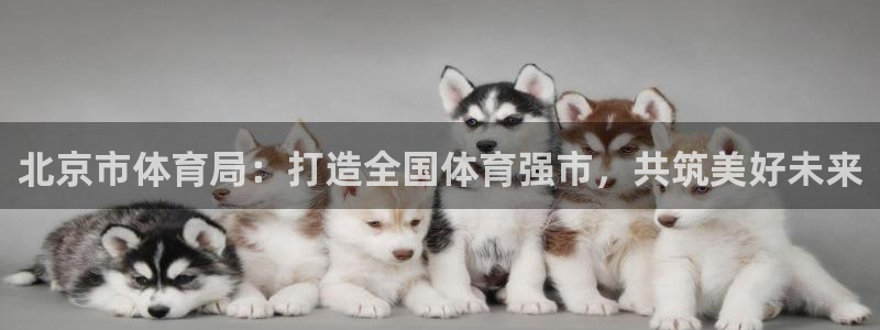 必一体育在线玩：北京