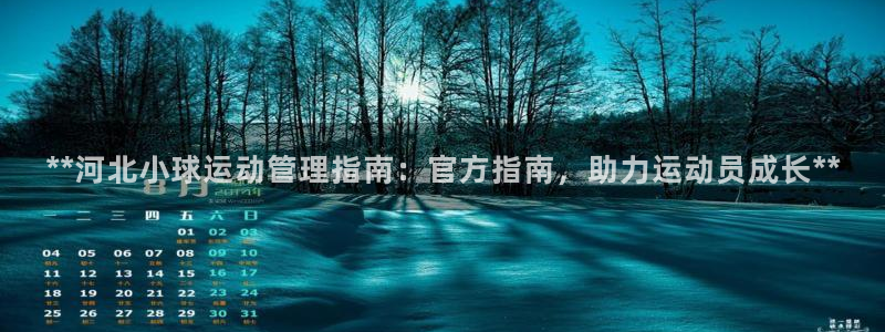 必一体育皮尔斯：**