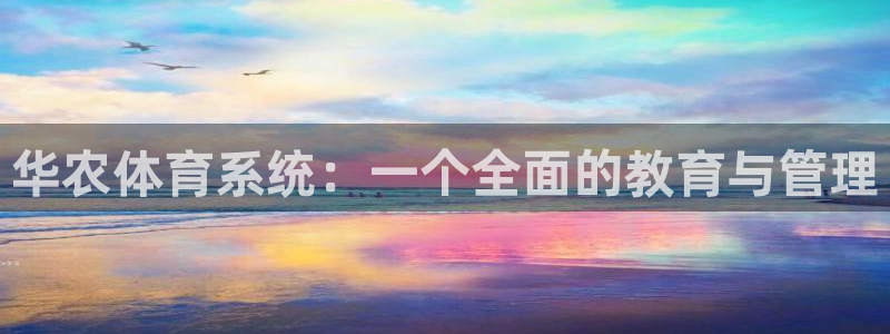 必一体育官网网址：华