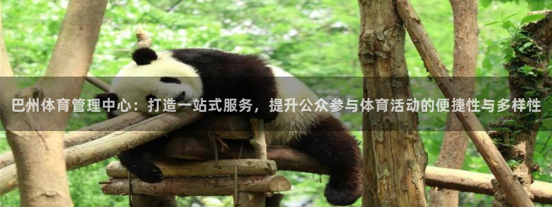 必一体育网页：巴州体