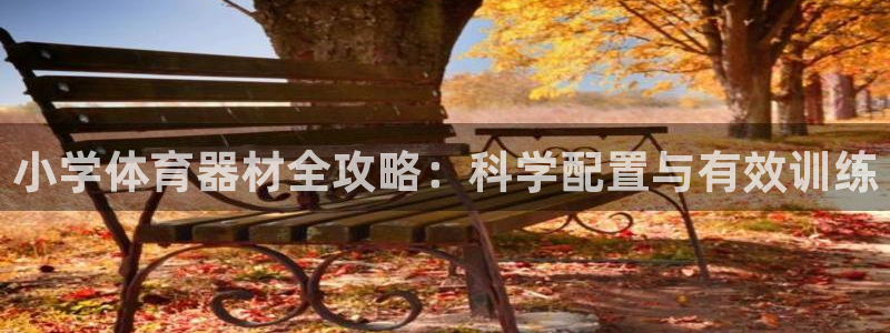 必一体育下载移动版：