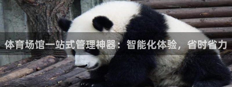 必一运动体育：体育场馆一站式管理神器：智能化体验，省时省力