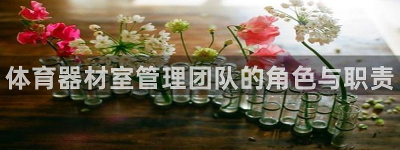 必一体育网页：体育器