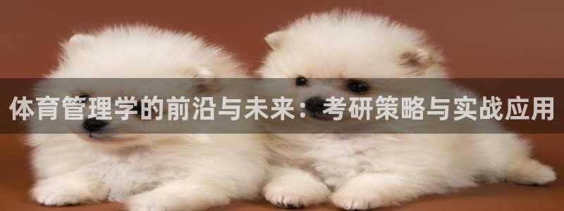 必一体育电子app：