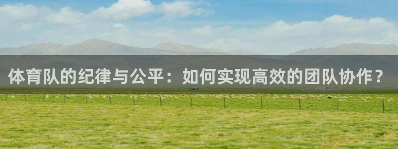 必一运动体：体育队的