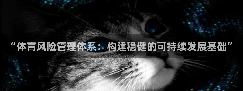 必一运动sport爱