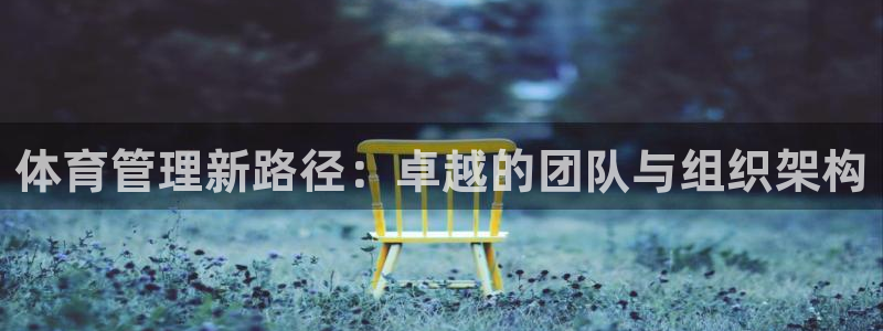 必一体育app平台下