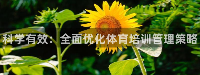 必一体育app下载：科学有效：全面优化体育培训管理策略