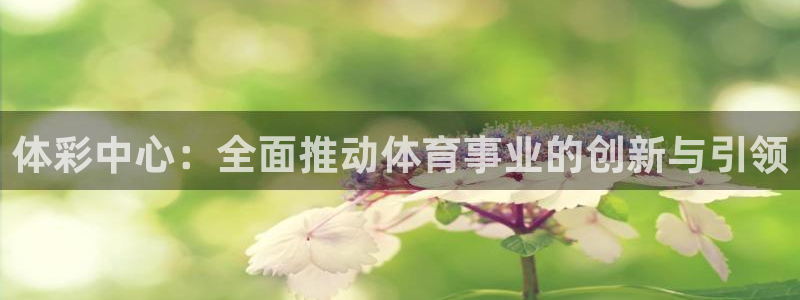 必一体育游戏玩法：体彩中心：全面推动体育事业的创新与引领