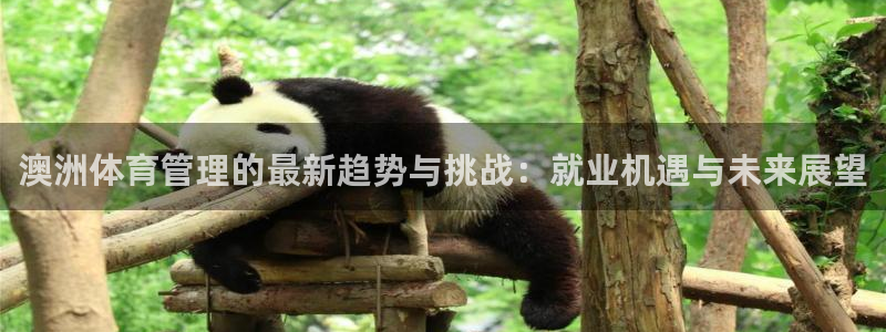 必一运动B-Sport官方网站入口：澳洲体育管理的最新趋势与