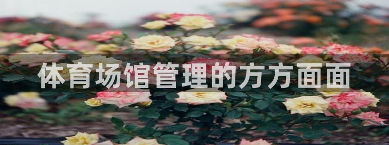 必一体育登录入口APP