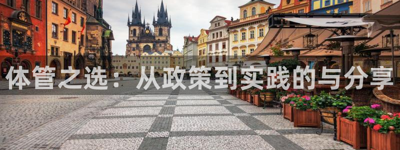 必一体育官方网站入口