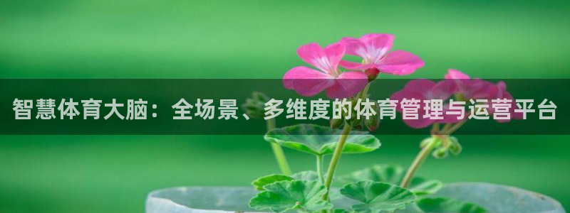 必一体育秀给网：智慧